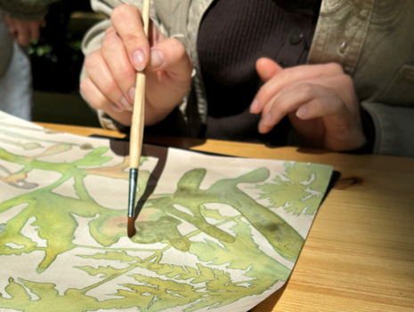 Public Workshop: Colored Shadows on Paper