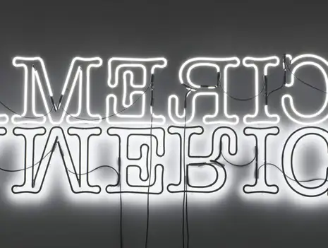 Glenn Ligon: Double America