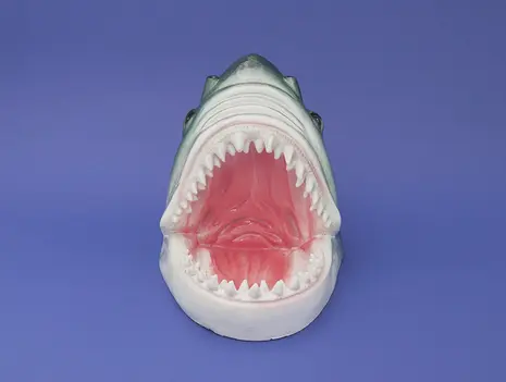 Fabian. Going to the Dogs