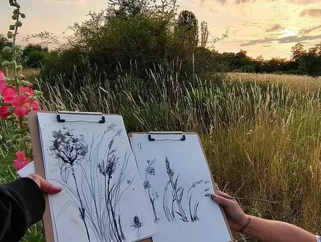 Botanical Drawing - Experimental botanical drawing with natural materials in the field - Wonderful Places in NeuKölln