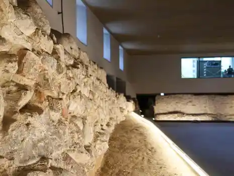 Discover Archaeology: From Discovery to Exhibition at PETRI Berlin