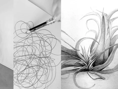 Basics of Drawing