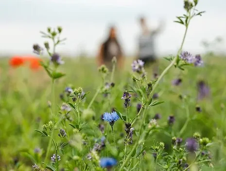 Open Space – Open Mind – A Philosophical Stroll Through Tempelhofer Feld