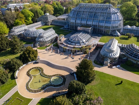 "Call It Culture": An Audio Walk Through the Berlin Botanical Garden