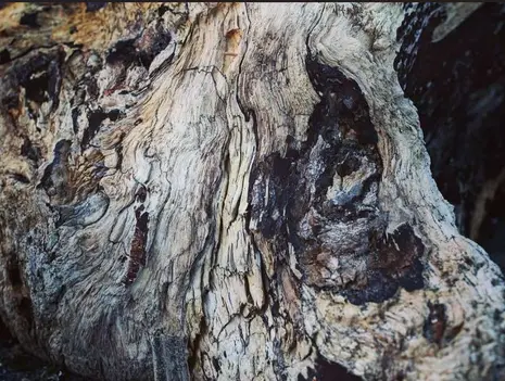 Along, Across, and Against the Grain: On Spectral Densities and Margins of Play