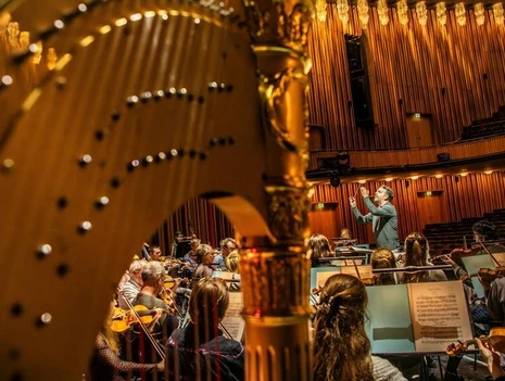 Guided Tour Special Orchestra