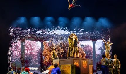 Cirque Du Soleil ALIZÉ - Planquine