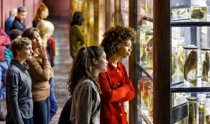 Besucherinnen im Museum für Naturkunde