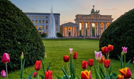 Berlin, Blick auf das beleuchtete Brandenburger Tor am Pariser Platz mit einem Springbrunnen und schönen bunten Tulpen im Vordergrund im Frühling bei Sonnenuntergang BerlinBrandenburger Tor am Pariser Platz mit einem Springbrunnen und schönen bunten Tulpen im Vordergrund im Frühling bei Sonnenuntergang