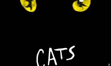 Cats in Berlin