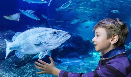 AquaDom y SEA LIFE - Atracción en Berlín