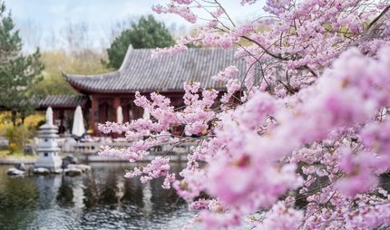 Berlin kompakt Touren, Gärten der Welt
