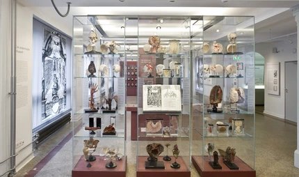Musée d'histoire de la médecine de la Charité, salle d'exposition
