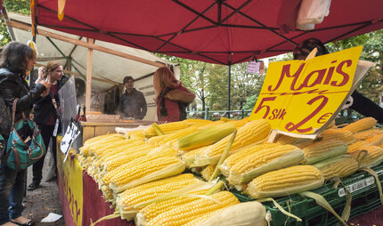 Maisverkauf auf dem Wochenmarkt am Maybachufer in Neukölln