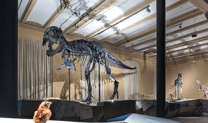 Esqueleto de dinosaurio Tristán en Berlín, Museo de Historia Natural
