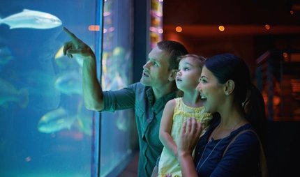 Familie im Aquarium in Berlin