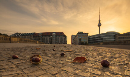 Berlin skyline with chestnuts and sunlight in autumn
