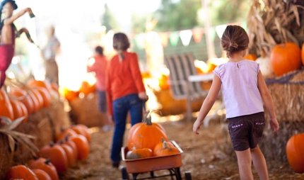 Children with pumpkins