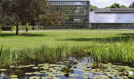 Botanischer Volkspark Blankenfelde-Pankow