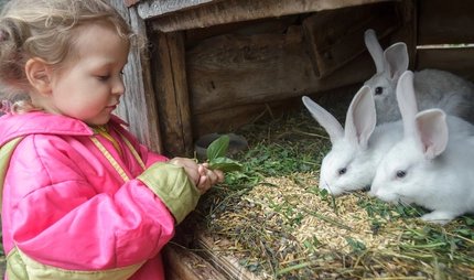 farm for children