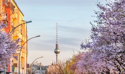 Frühling in Berlin: Strassen mit blühenden Bäumen