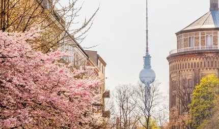 Blick vom Kollwitzplatz auf den Fernsehturm im Frühling