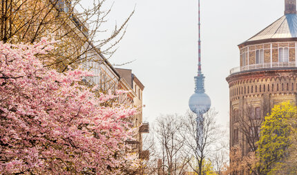 View of the TV Tower from Kollwitzplatz in springtime