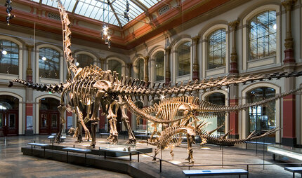 Esqueleto de dinosaurio en el Museo de Historia Natural de Berlín