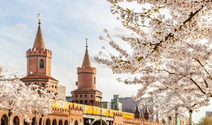 Frühling