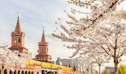 Oberbaumbrücke im Frühling