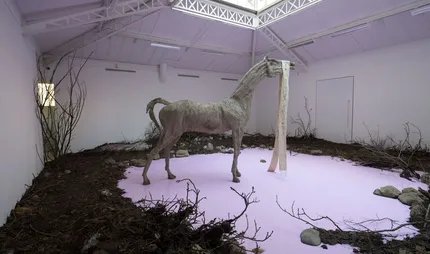 Installation von Petrit Halilaj im Hamburger Bahnhof