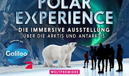 Anzeige Polar Experience
