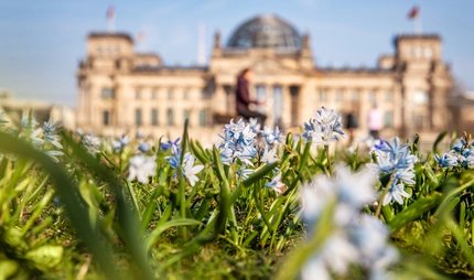 Frühling am Reichstag