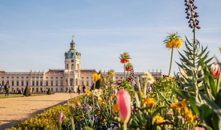 Park Schloss Charlottenburg im Frühling