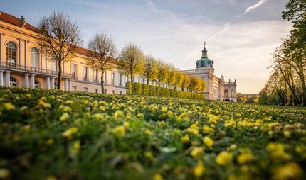 Frühling