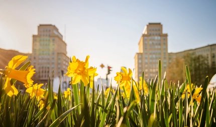Frühling