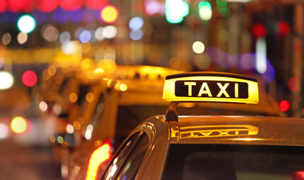 Taxischlange