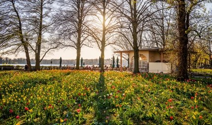 Top 10 Activities in Berlin: Things to do & explore | visitBerlin.de