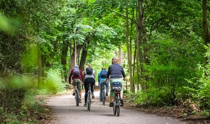 Rund um den Tegeler See