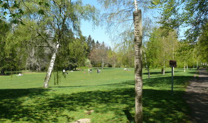 Ballspielwiese im Volkspark Rehberge 