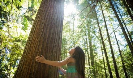 Young girl connecting with nature