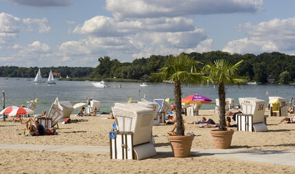 Palmen und Strandkörbe am Strandbad Wannsee Berlin