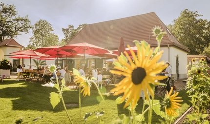 Sommercafe im Landhausgarten Dr. Max Fränkel