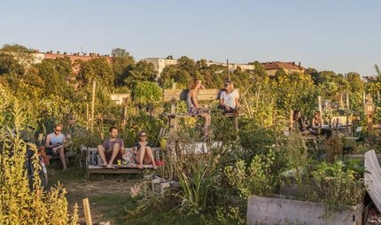 Tempelhofer Feld Berlin: Urban Gardening