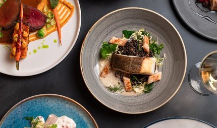 Vielfältige Gerichte mit Fleisch, Fisch und Steak im Gourmet-Restaurant